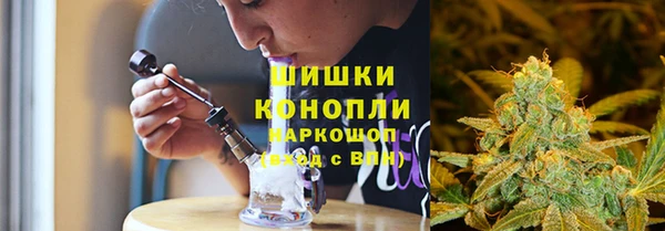 гидра Белокуриха