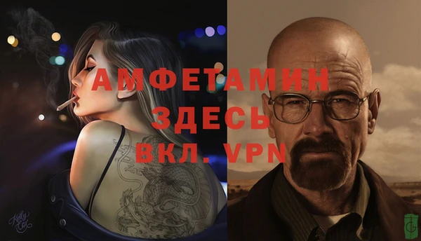 гидра Белокуриха