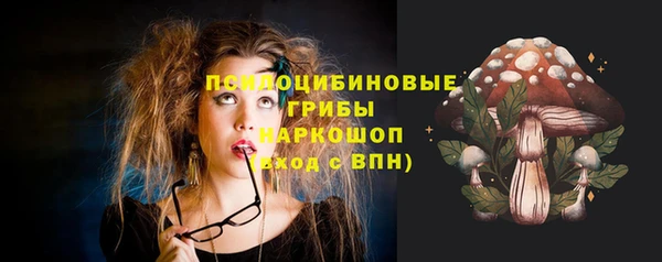 крисы Белоозёрский
