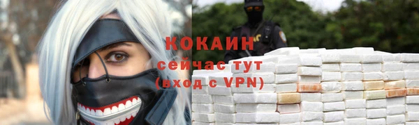 гидра Белокуриха