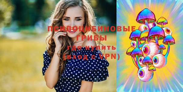 крисы Белоозёрский