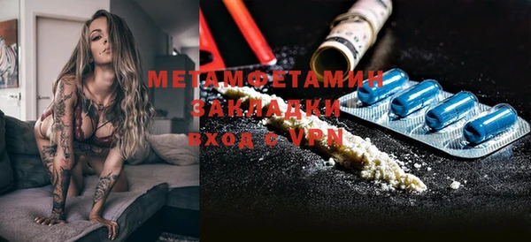 гидра Белокуриха