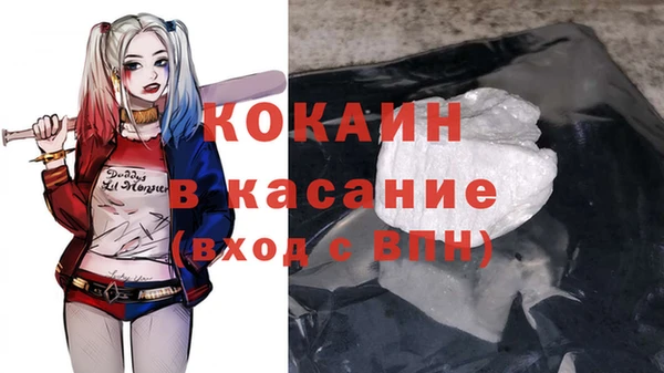гидра Белокуриха
