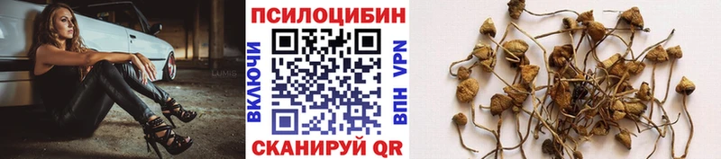 Псилоцибиновые грибы Magic Shrooms  Курильск 